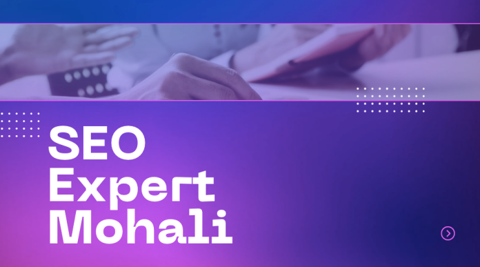 seo expert mohali